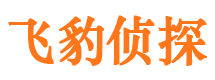 正定市调查公司